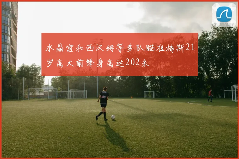 水晶宫和西汉姆等多队瞄准梅斯21岁高大前锋身高达202米