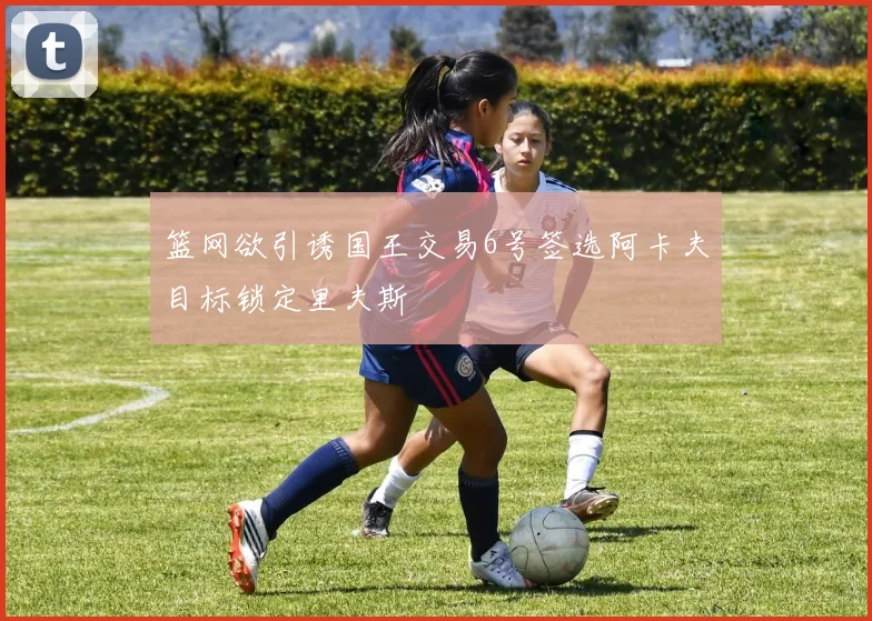篮网欲引诱国王交易6号签选阿卡夫目标锁定里夫斯